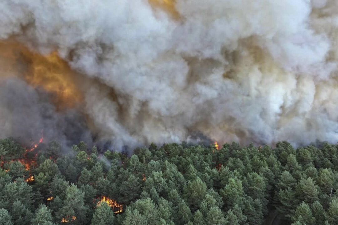 Fire in Forest of French Kings: The Battle to Save Fontainebleau