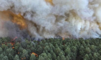 Fire in Forest of French Kings: The Battle to Save Fontainebleau
