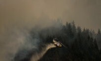 Boston Bar Blaze Destroys More Homes as BC Wildfire Numbers Spike