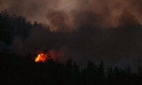 BC wildfire tally surges past 100 as lightning transforms fire season in a flash
