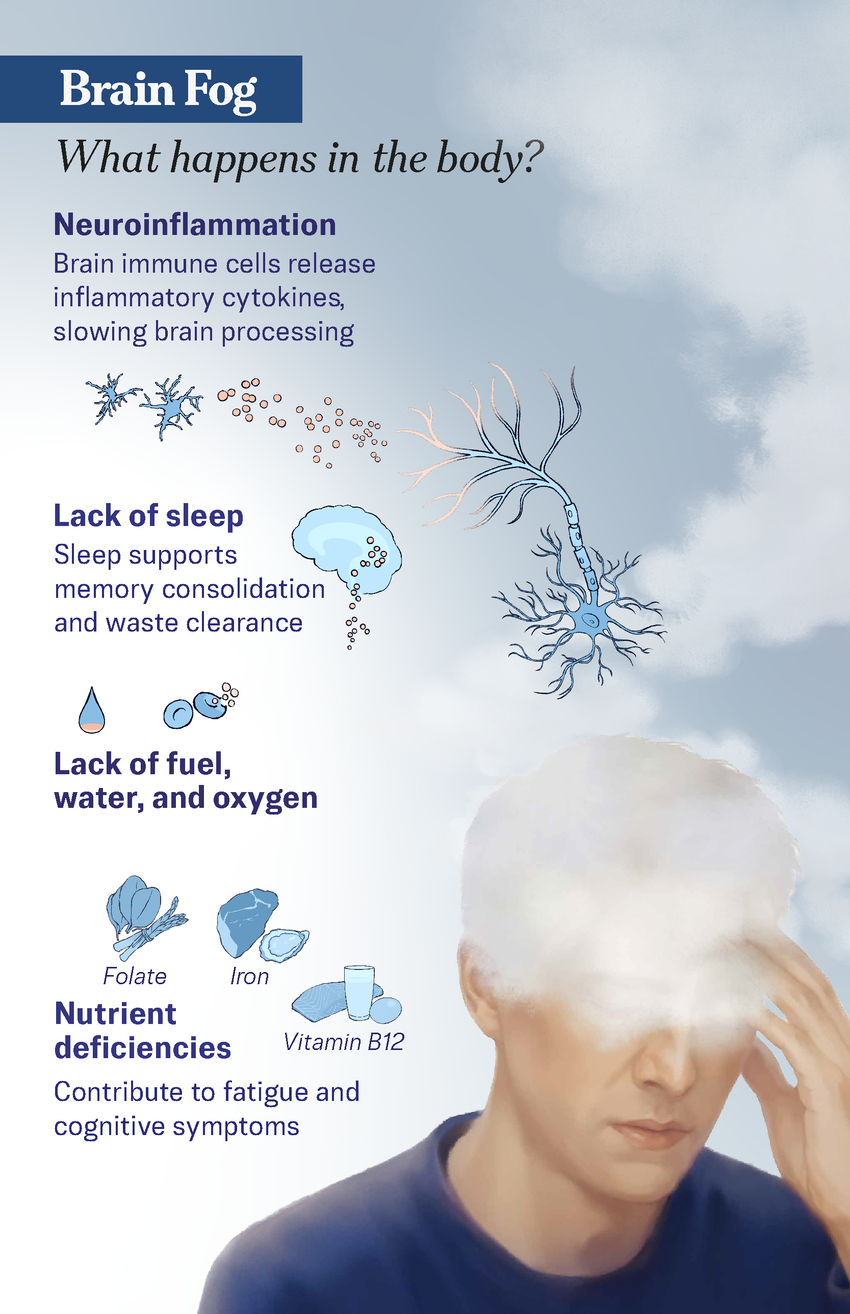 Brain Fog_featured image (1)