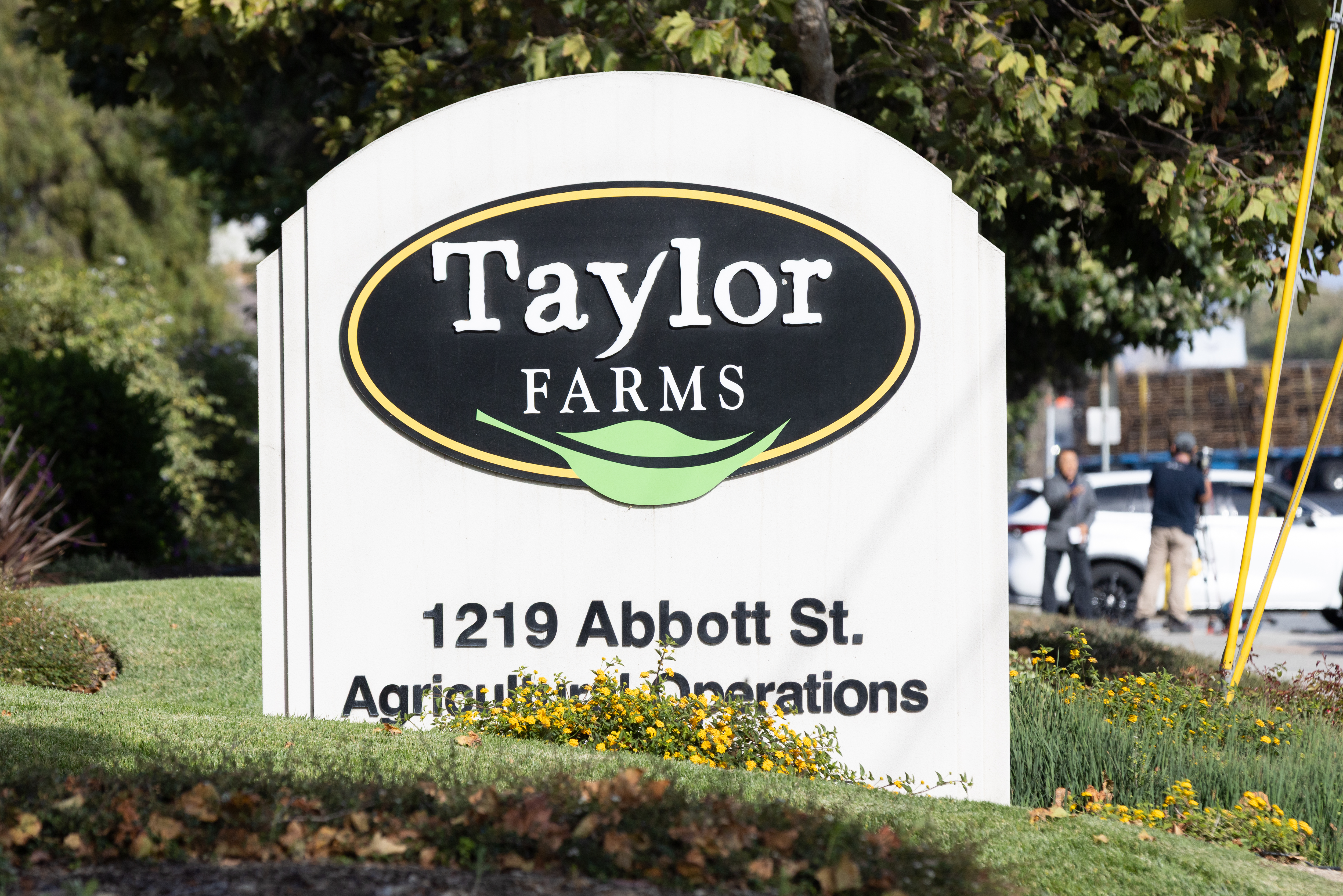 Cyclosporiasis Outbreak Traced To Iceberg Lettuce From Produce Giant Taylor Farms