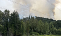 Fire Near Pemberton, BC Is Now Being Held, but Smoke on the Way