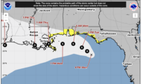 Tropical Storm Bertha Forms Off Gulf Coast