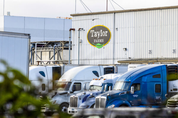 FDA Keeps Taylor Farms Lettuce at Center of Cyclospora Probe Despite False-Positive Result