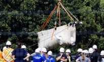 Six Whales Moved out of Marineland in ‘Complex’ Operation, Headed to US Aquariums