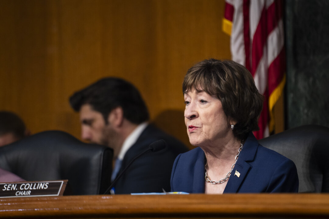 Sen. Collins Will Not Back Blanche for Attorney General