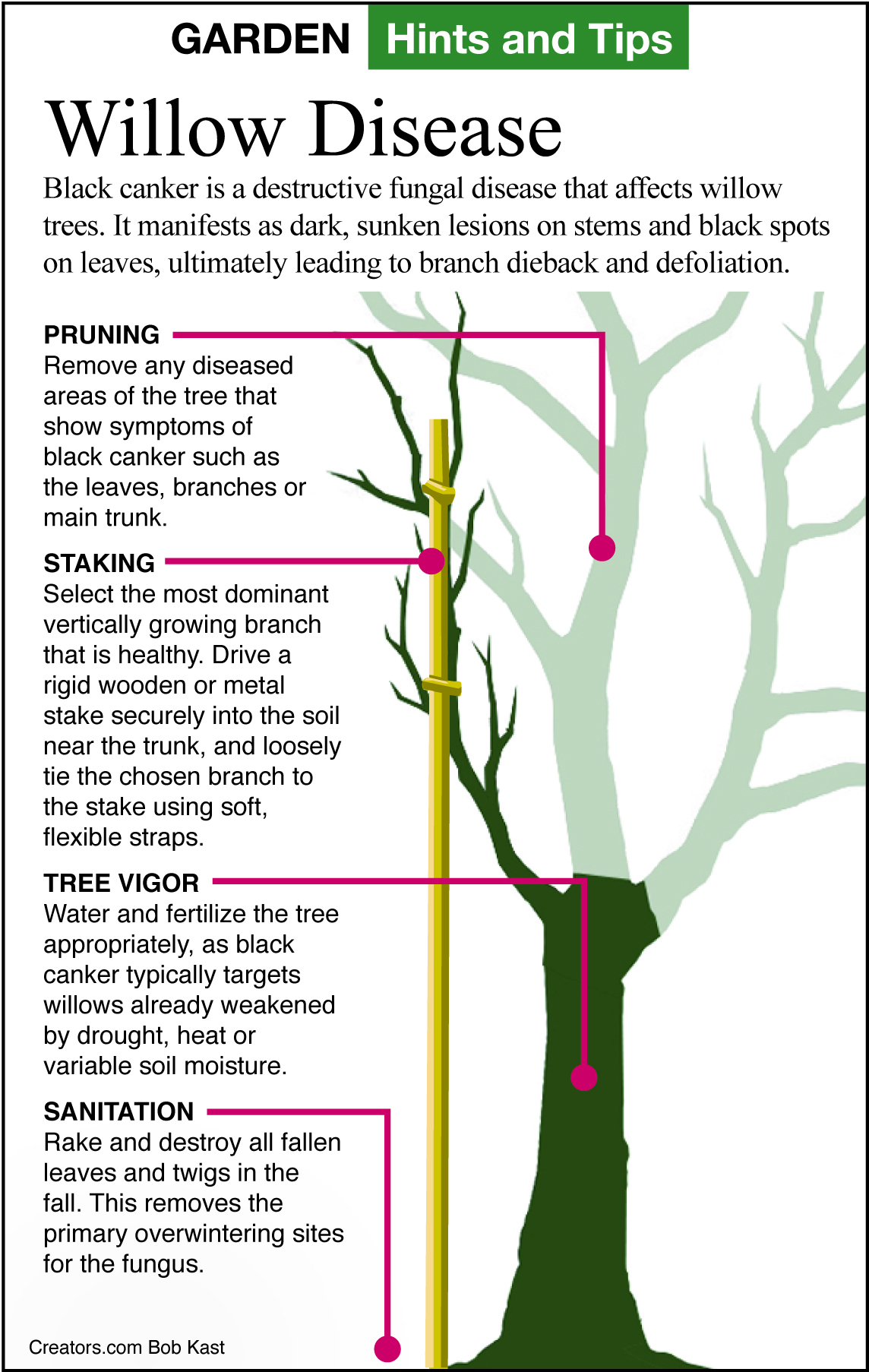 GardenTips.0721
