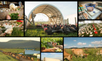 Behind America’s Growing ‘Food Freedom’ Movement