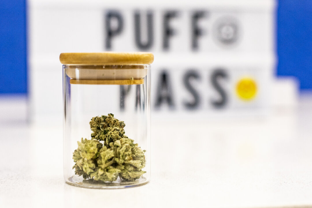 Cannabis Hospitalisations in Victoria Surge 49 Percent in a Decade