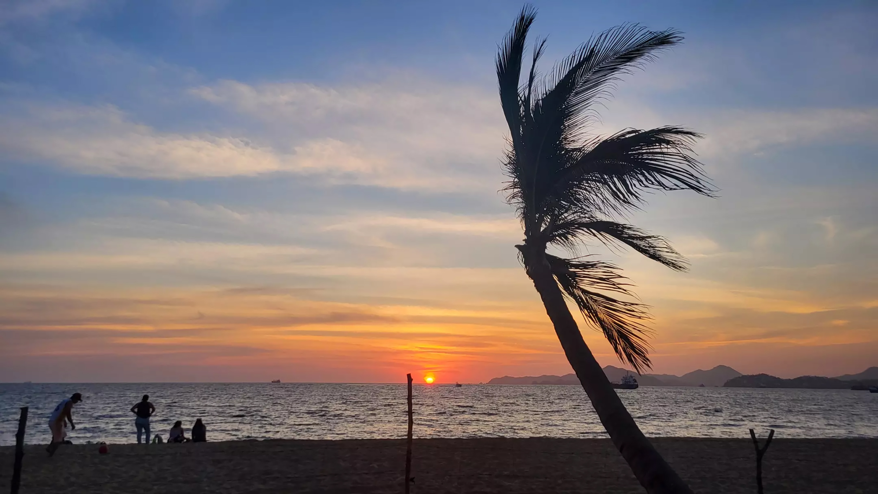 TRV-WLT-MEXICO-PALM-WINE-FILEPIC-2-LA