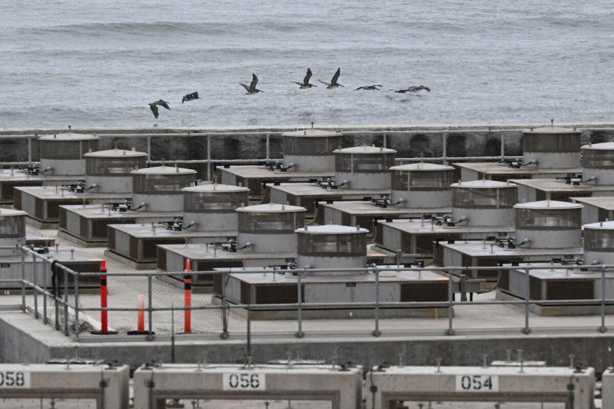 Birds fly along the Pacific Ocean near the dry fuel storage of canisters containing spent nuclear fuel at the San Onofre Nuclear Generating Station (SONGS) along the Pacific Ocean south of San Clemente in San Diego County, Calif.., on June 9, 2023. (Patrick T. Fallon/AFP via Getty Images)