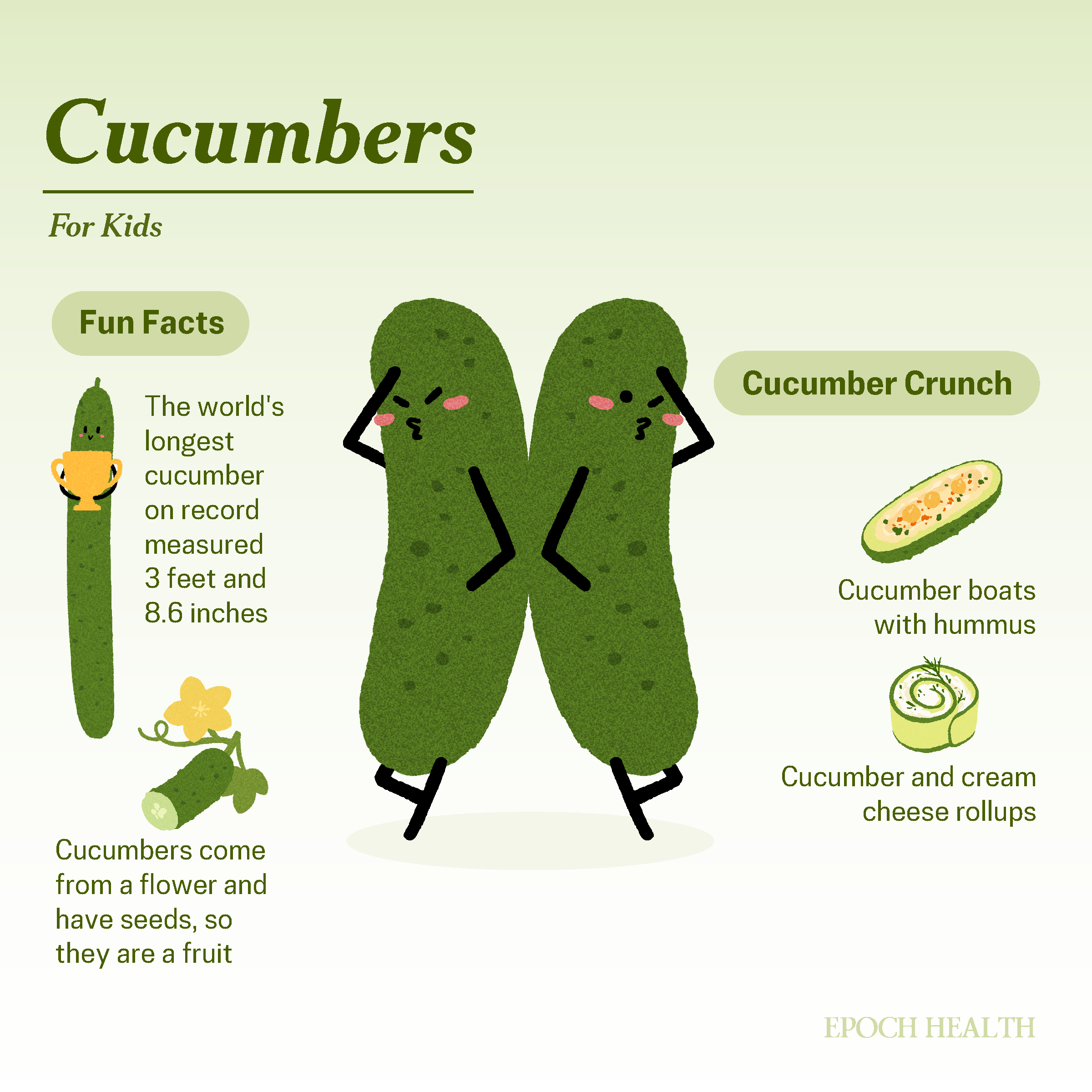 Cucumbers infographic_02