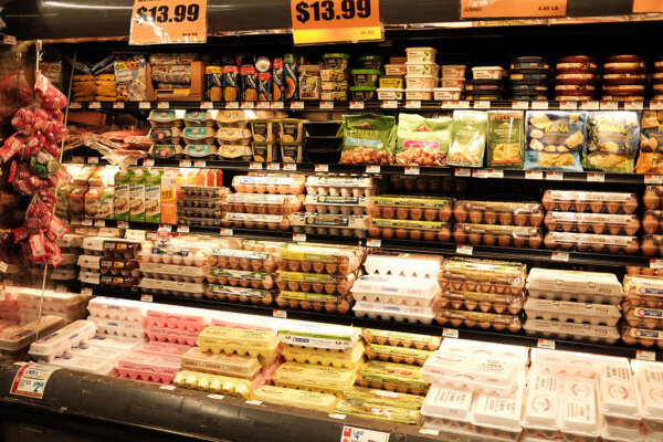 FDA: 19 Million Eggs Being Recalled