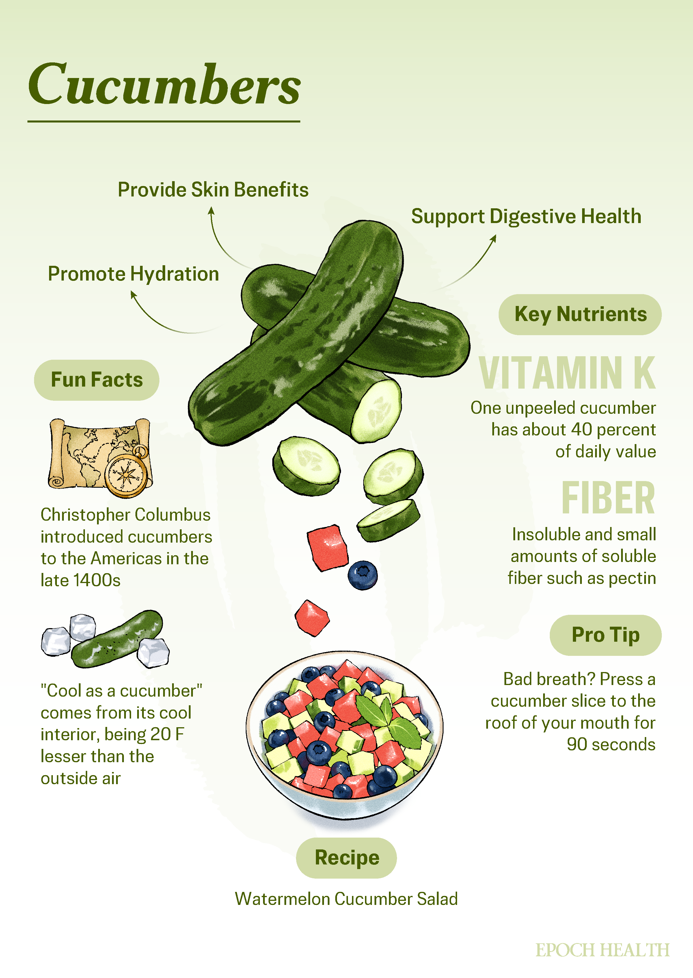Cucumbers infographic_01 (2)