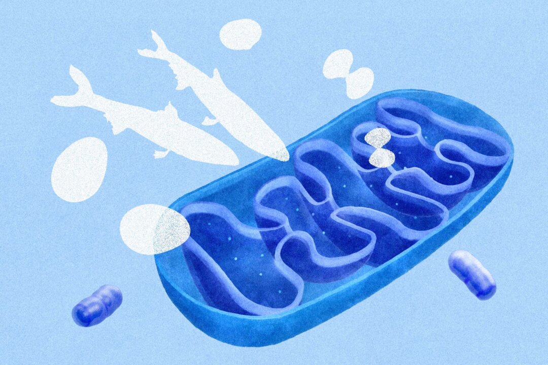 (Illustration by The Epoch times, Shutterstock)