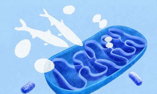 How Low B12 Can Mimic Signs of Aging