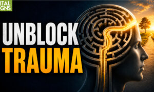 6 Ways to Free-up Trauma, Including EMDR, Neuro Emotional Technique—Clinical Psych