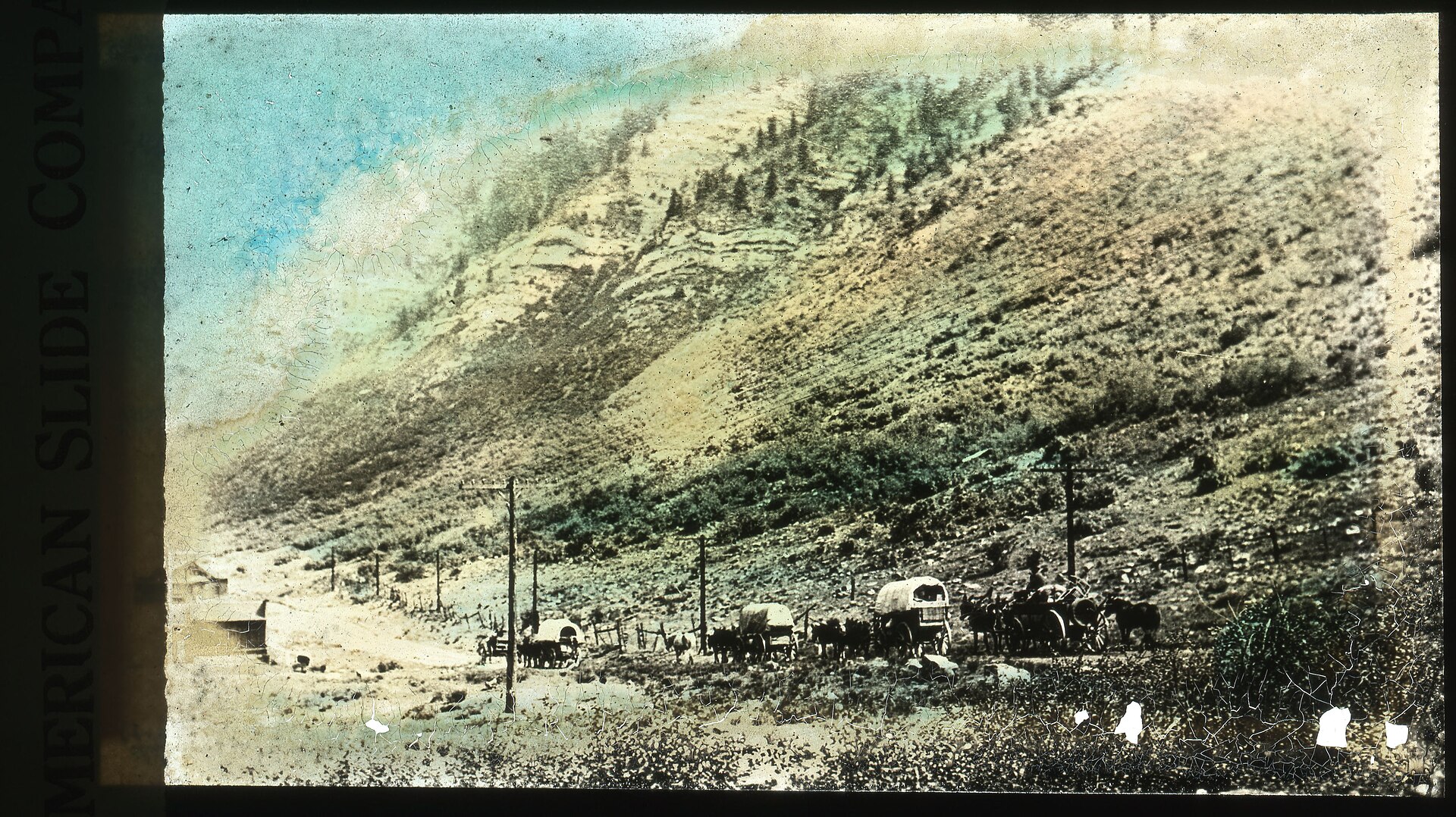 Wagon Train