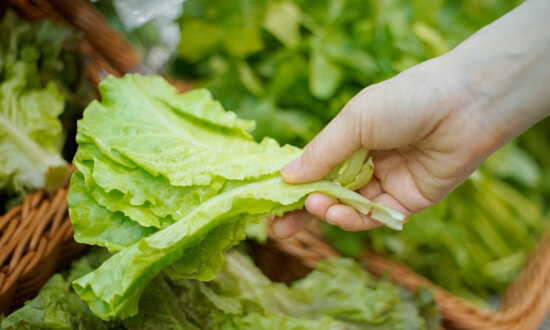 How to Pick and Wash Lettuce Amid Parasite and Bacterial Outbreaks