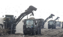 US Sets 2027 Sugar Import Quotas Under WTO Commitments
