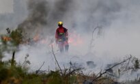 European Wildfires, Net Zero Stagnation, and the Great Industry Displacement
