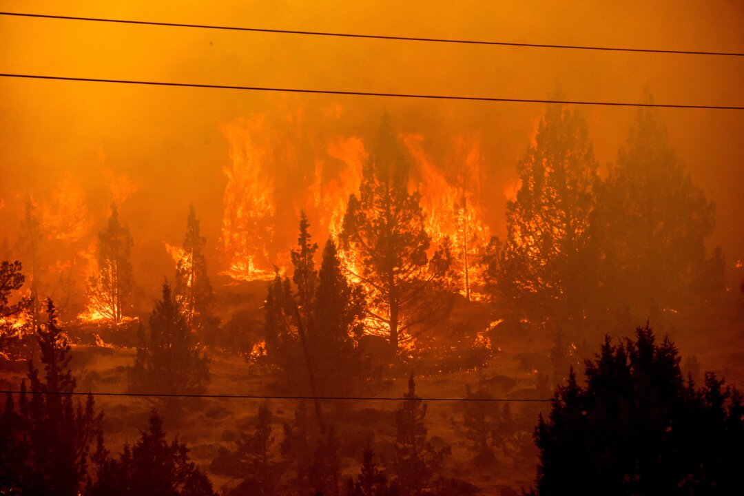 “Tragedy Strikes as Brave Firefighters Fall in Unprecedented Blaze Outbreak”