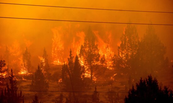 4 Firefighters Die, 90 Large Fires Uncontained in Most Active Fire Year in a Decade