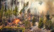 Major Interstate Shut Down as Oregon Wildfires Continue to Spread