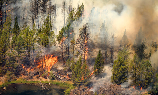 Major Interstate Shut Down as Oregon Wildfires Continue to Spread
