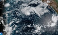 Genevieve Becomes a Major Pacific Hurricane Off Mexico, but No Direct Threat to Land Is Forecast