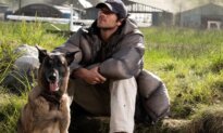 The Dog Days of Summer Are at the Movies
