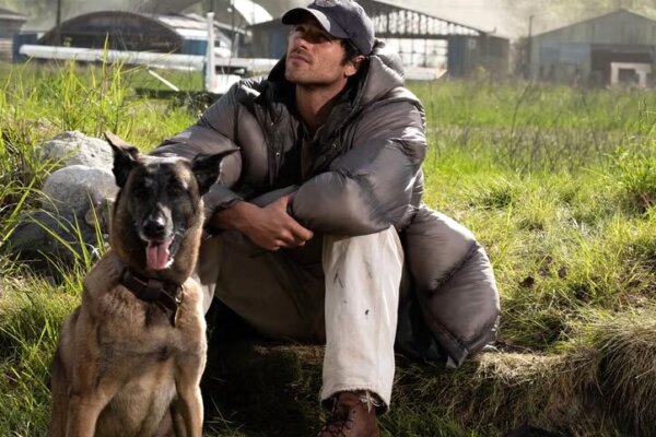The Dog Days of Summer Are at the Movies