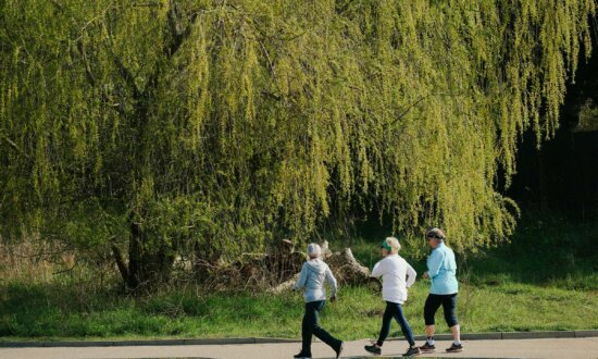 Before Memory Fades, Your Walk May Reveal 5 Hidden Brain Disorders