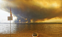 Rare ‘Fire Cloud’ Over French Wildfire Ignites New Blazes With Its Own Lightning