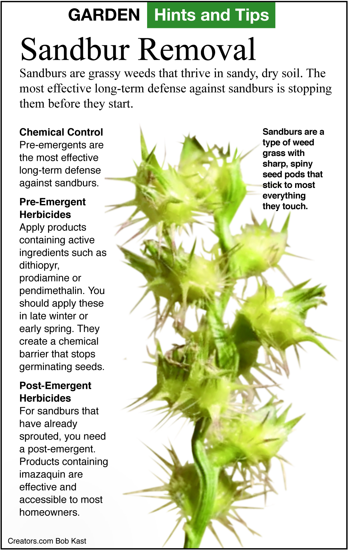 GardenTips.0728