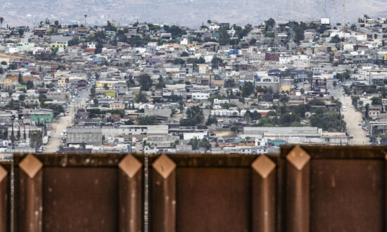 Texas Woman Pleads Guilty to Smuggling Children Across Border