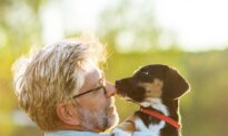 Can Pets Help Keep Your Brain Young? What the Research Shows
