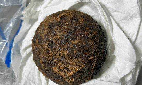 TSA Finds Stolen Civil War-Era Cannonballs in Passenger’s Suitcase at Alabama Airport