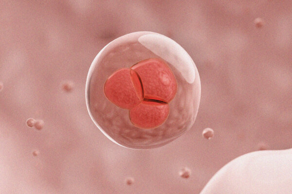 How Aged Cells Revert to Stem Cells to Repair the Body