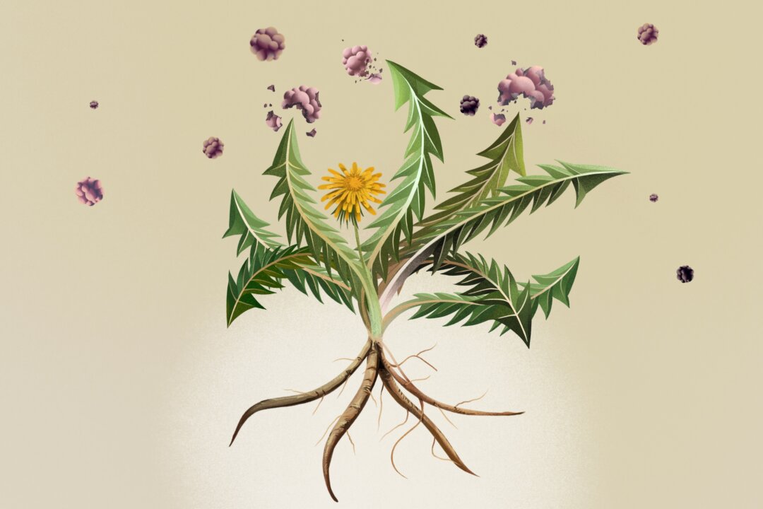 (Illustration by Lumi Liu)