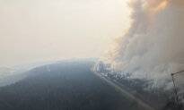 ‘It’s a Responsibility’: Animals Moved out as BC Fire Risk Looms
