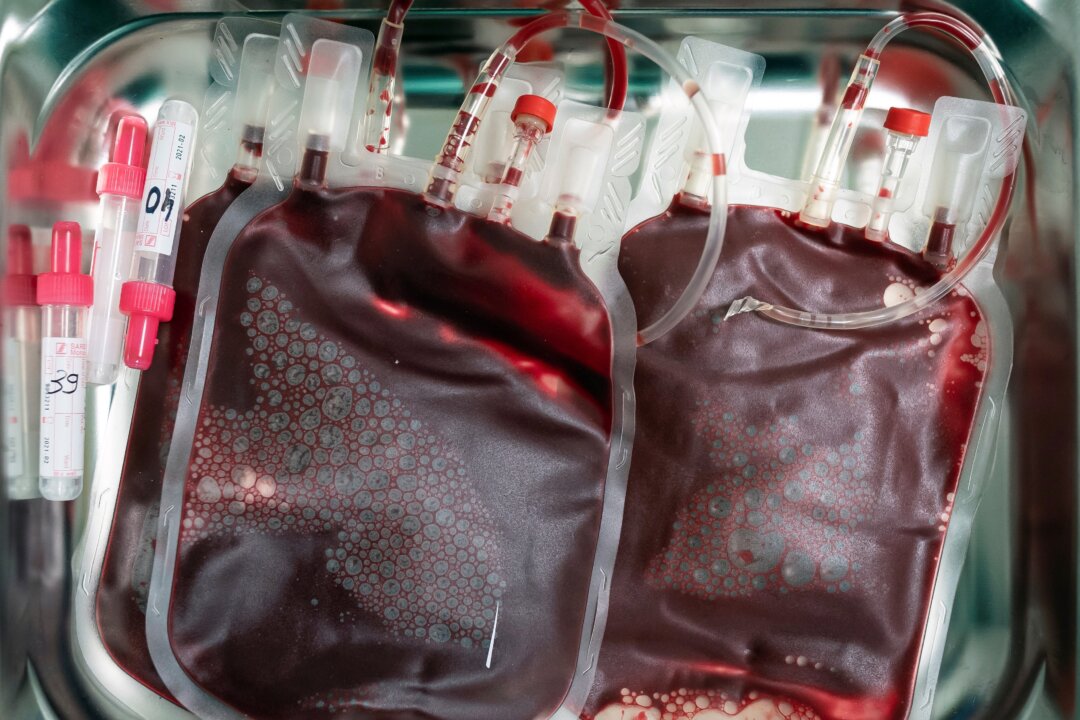 Cost Pressures Force 1 in 8 Blood Cancer Patients to Delay or Cancel Treatment: Report