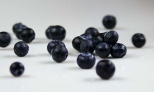 The Best Way to Eat Blueberries