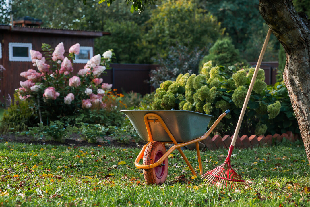 September Gardening Tasks: Preparing the Garden and Yard for Winter