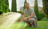How to Water Your Lawn Without Being Wasteful This Summer
