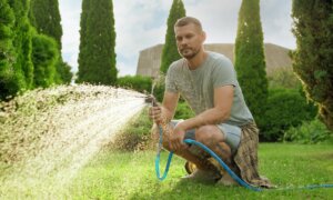 How to Water Your Lawn Without Being Wasteful This Summer