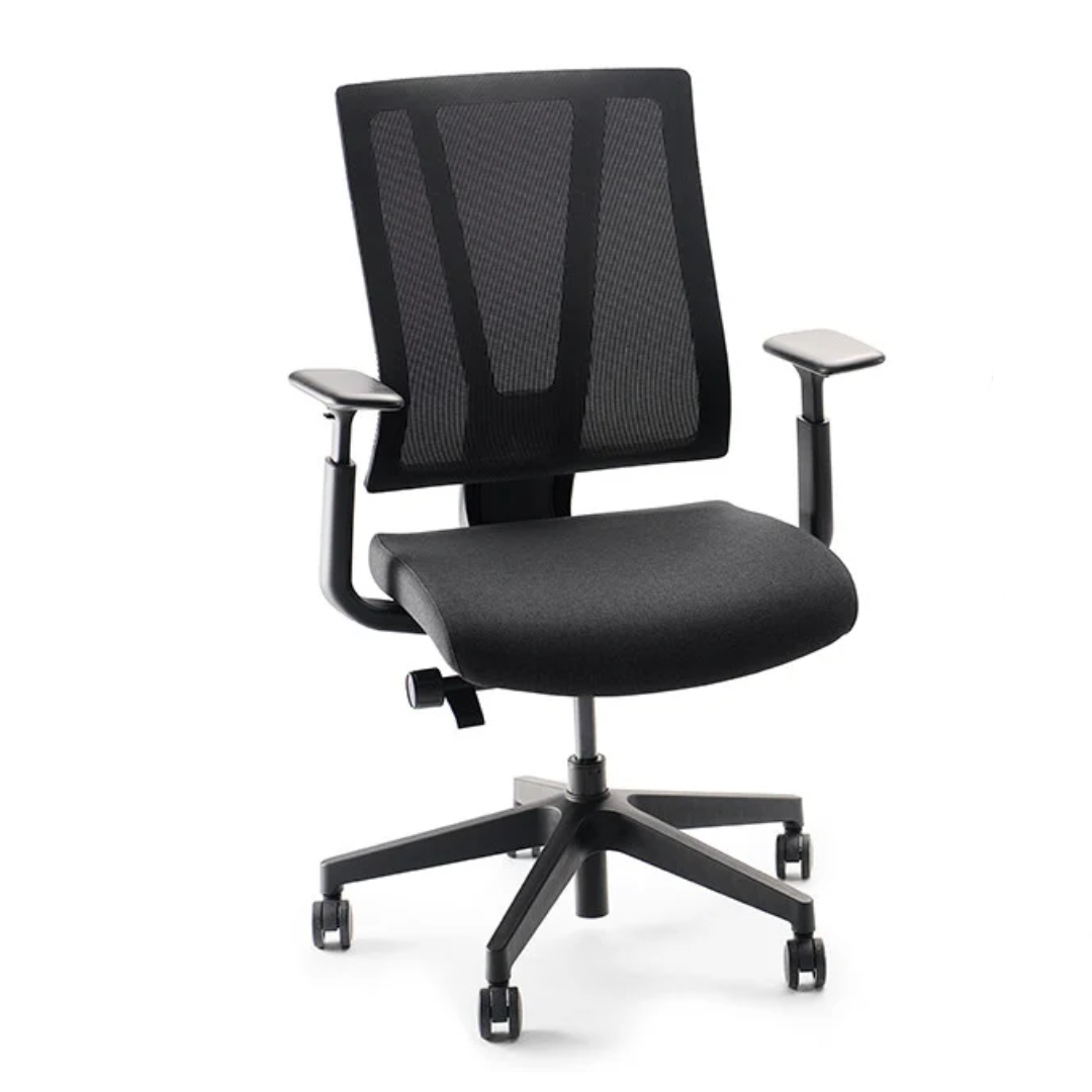 Clarksville Ergonomic Chair