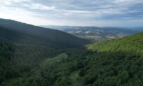 Zelenskyy Launches ‘Carpathian Initiative’ With Focus on Post-War Future