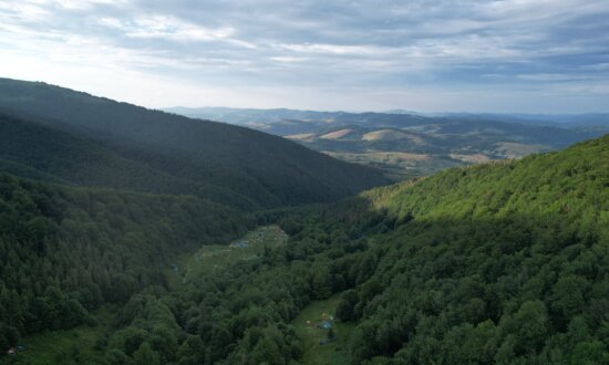 Zelenskyy Launches ‘Carpathian Initiative’ With Focus on Post-War Future